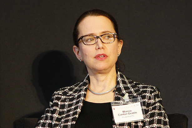 Marcia Cantor-Grable, Director Emerging Risk and Regulatory Developments, Prudential Plc