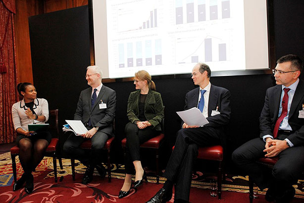 Panel discussion: Investing in green bonds - making green bonds more accessible